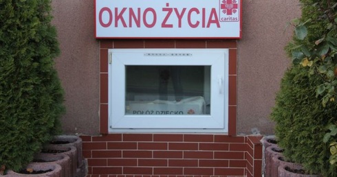 Zielonogórskie okno życia