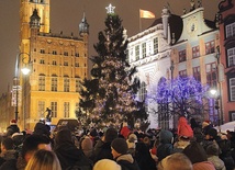 Choinka gigant i Mikołaj nad Motławą 