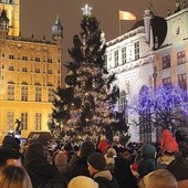 Choinka gigant i Mikołaj nad Motławą 