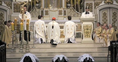 Posłani w Roku Miłosierdzia