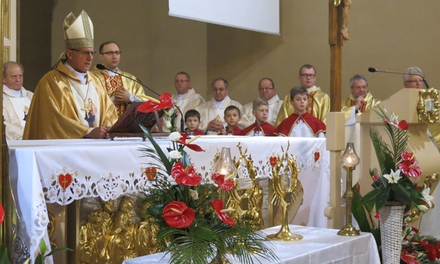 Znaki Miłosierdzia w Pietrzykowicach