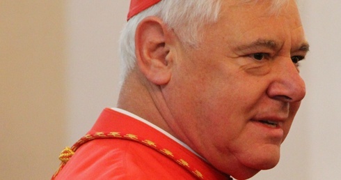 Kardynałowie za usunięciem biskupów popierających tezy sprzeczne z prawdami wiary
