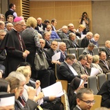 VIII sesja synodu