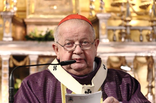 Brama Miłosierdzia w katedrze wawelskiej