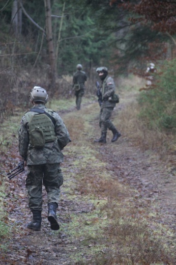 Sudecka Obrona Terytorialna