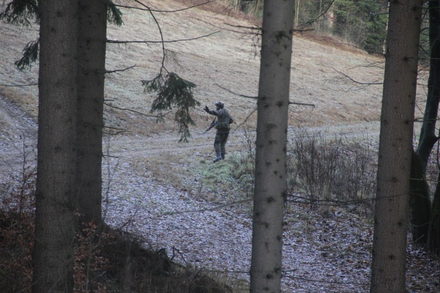 Sudecka Obrona Terytorialna