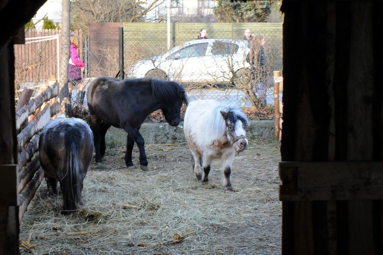 Żywa szopka w Gdowie
