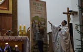 Zielona Góra/Drzonków