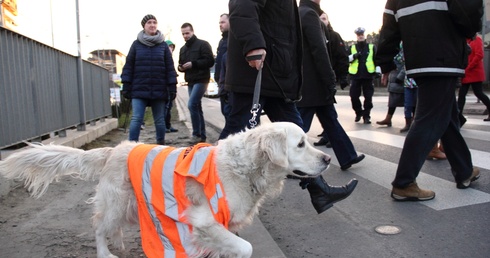 Protest mieszkańców Górki Narodowej