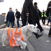 Protest mieszkańców Górki Narodowej