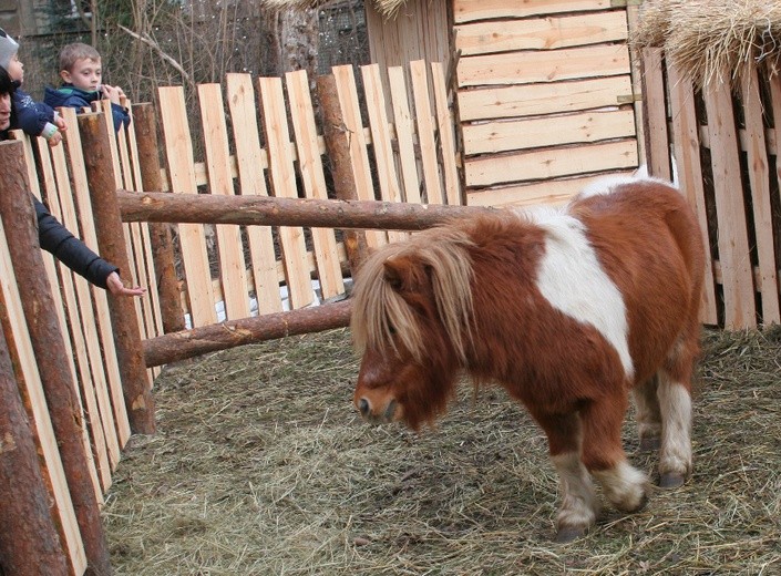 Szopka u oblatów