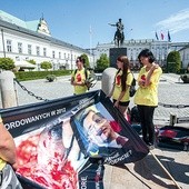  Wolontariusze fundacji organizują wystawy „Wybierz życie” w różnych miejscach Polski. Byli aktywni także przed wyborami prezydenckimi