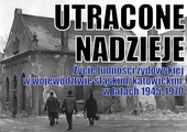 Spotkanie z Aleksandrą Namysło, historykiem IPN, Mikołów, 15 stycznia