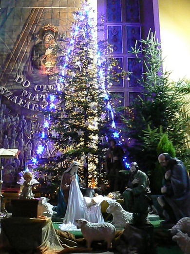 Dekoracje świąteczne w kościele pw. Matki Bożej Nieustającej Pomocy w Tarnobrzegu 