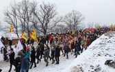 Krakowski Orszak Trzech Króli 2016 - człon europejski