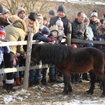 Orszak Trzech Króli w Tarnowie