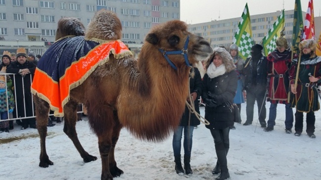 Orszak Trzech Króli 2016 w Oleśnicy