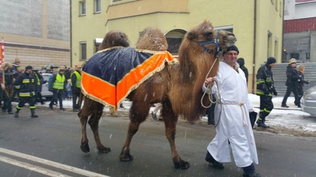 Orszak Trzech Króli 2016 w Oleśnicy