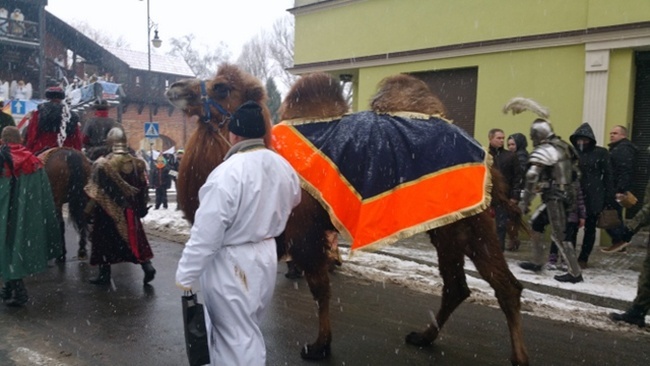 Orszak Trzech Króli 2016 w Oleśnicy