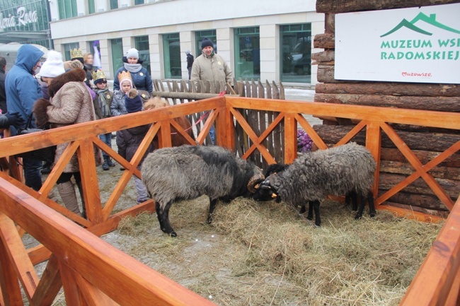 Orszak Trzech Króli w Radomiu