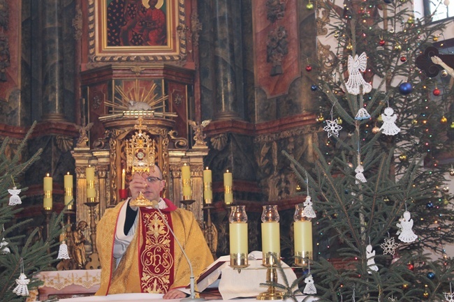 Św. Jacek Odrowąż w Wierzbicy Górnej