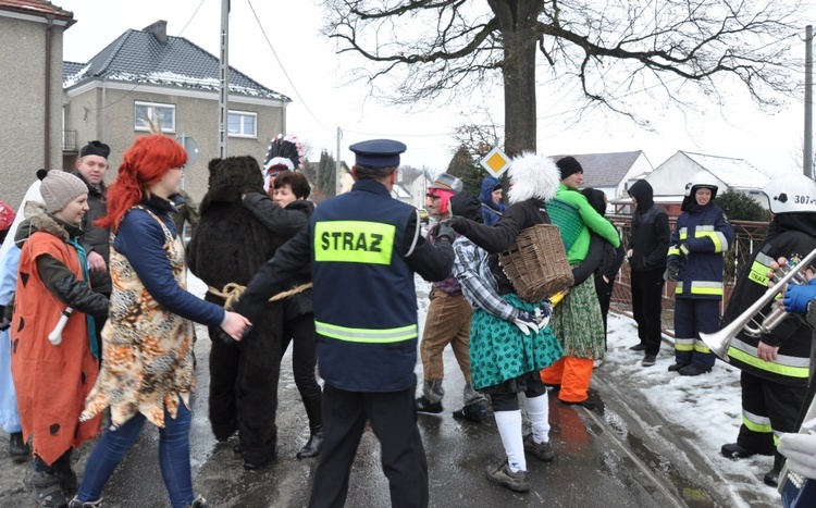 Wodzenie Niedźwiedzia w Złotnikach