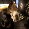 Dzieci chętnie odwiedzają Muzeum Lubelskie