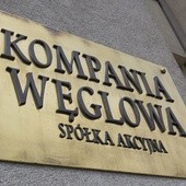 Do Polskiej Grupy Górniczej trafi 11 kopalń