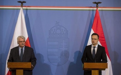 Polska i Węgry razem ws. Brexit?