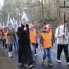 Pątnicy na drodze do Rokitna