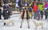 44. Góralski Karnawał w Bukowinie Tatrzańskiej - cz.3