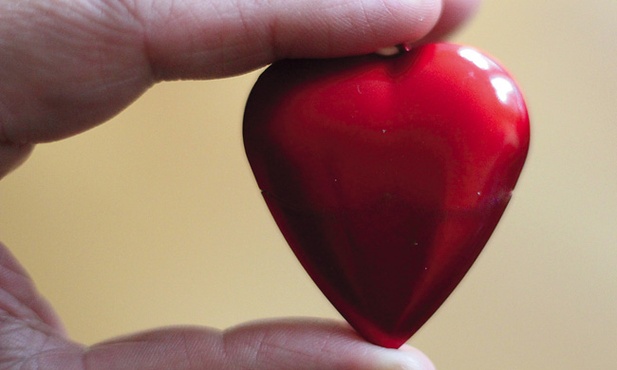 Przeszczepom mogą być poddawane takie organy jak: nerka, wątroba, trzustka, płuco, jelito, serce, a także tkanki