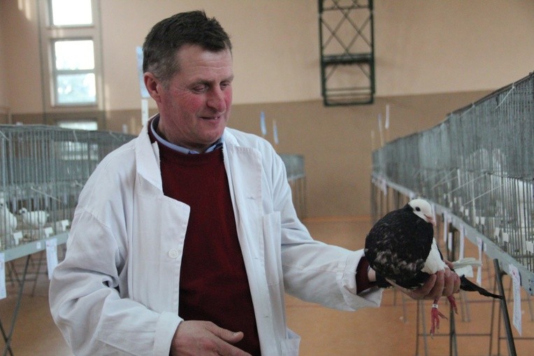 Jan Gajda hoduje gołębie od 40 lat