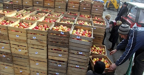 Prezent od sadowników