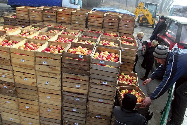  W ciągu dwóch lutowych sobót w Tarnówku rozdano 45 ton jabłek. Organizatorzy zapewniają, że będą się starać o kolejne transporty