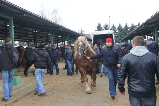 Skaryszewskie „Wstępy 2016”