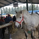 Skaryszewskie „Wstępy 2016”