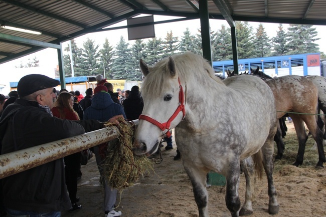 Skaryszewskie „Wstępy 2016”