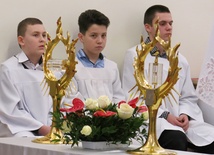 Wśród krakowskich świętych