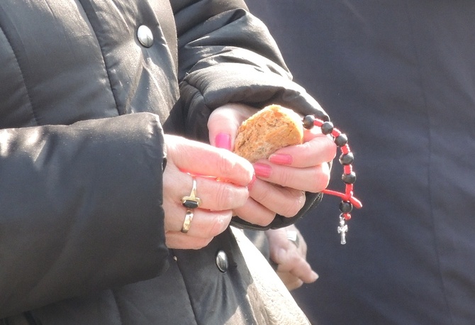 Droga Krzyżowa na terenie KL Auschwitz-Birkenau