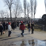 Droga Krzyżowa na terenie KL Auschwitz-Birkenau