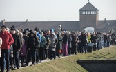 Droga Krzyżowa na terenie KL Auschwitz-Birkenau