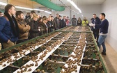 Paweł Piwowarski (pierwszy z prawej), z wykształcenia i pasji biolog, jest w ślimakach niemal zakochany. Na zdjęciu w trakcie szkolenia przyszłych hodowców</br></br> 