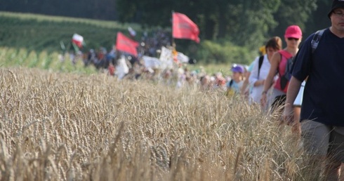 Trasa miłosierdzia