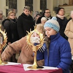 Znaki Miłosierdzia w Kobiernicach