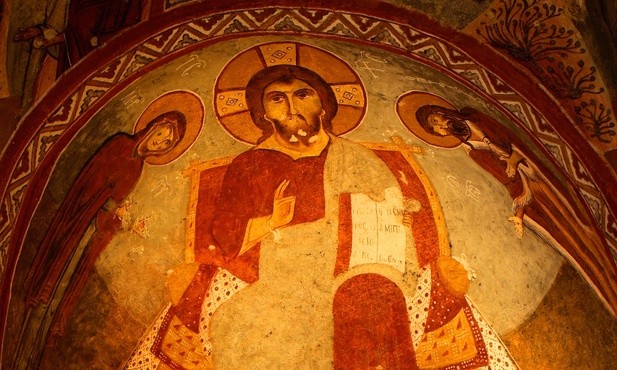 Ziarnka gorczycy