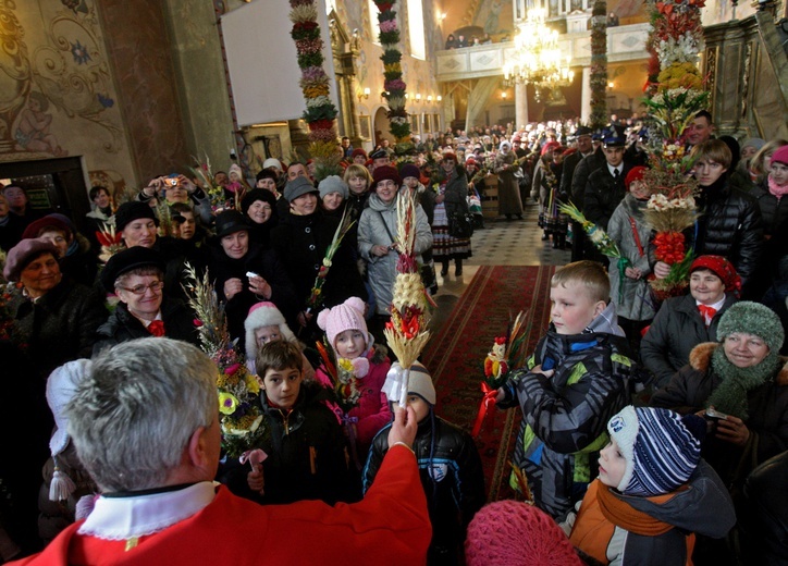 Krzczonowskie palmy