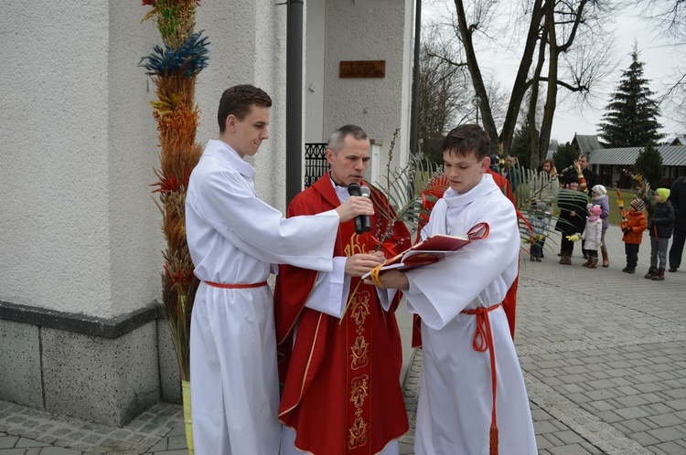 ​Niedziela Palmowa w Ludźmierzu