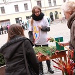 Synaj w Tarnowie. Brama Miłosierdzia