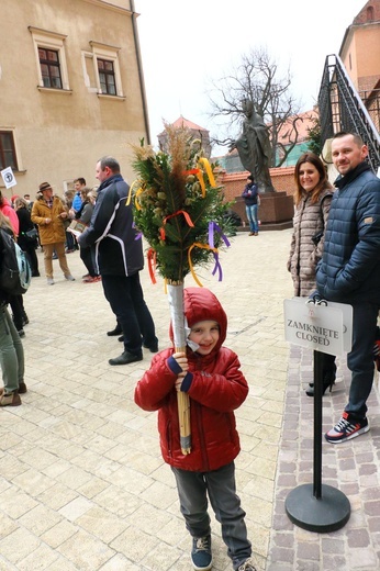 Niedziela Palmowa 2016 na Wawelu